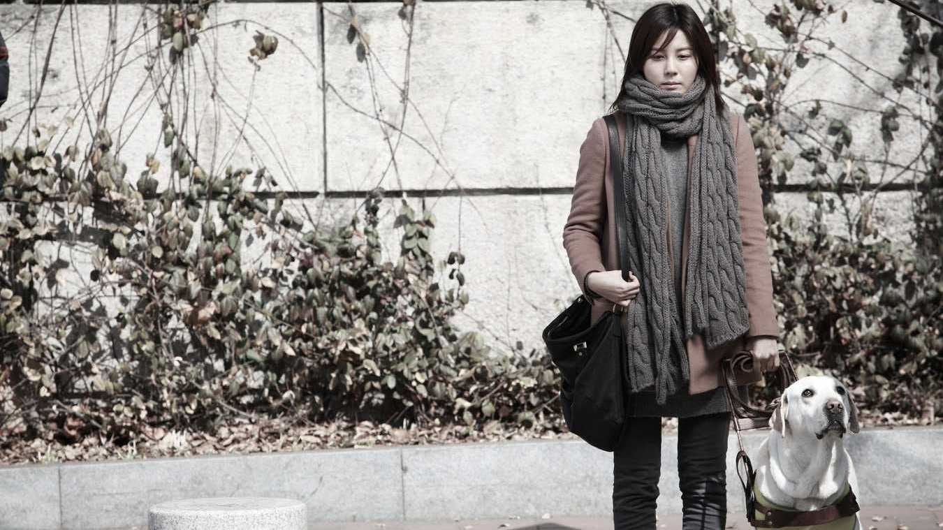 Nhân Chứng Mù (2011) - Ảnh 2
